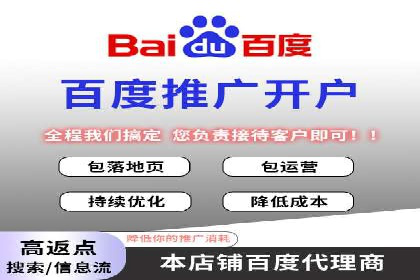 某行业领军企业的SEM广告投放策略
